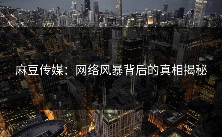 麻豆传媒：网络风暴背后的真相揭秘