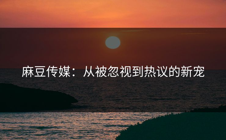 麻豆传媒：从被忽视到热议的新宠