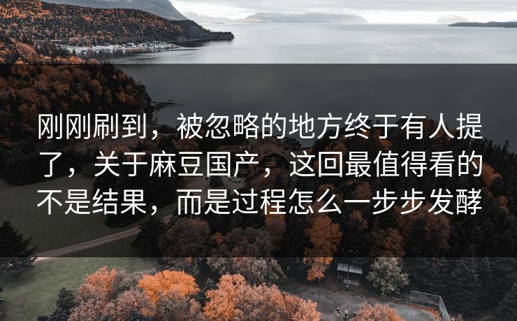 刚刚刷到,被忽略的地方终于有人提了,关于麻豆国产,这回最值得看的不是结果,而是过程怎么一步步发酵