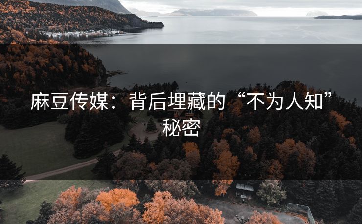 麻豆传媒:背后埋藏的“不为人知”秘密 麻豆传媒:背后埋藏的“不为人知”秘密